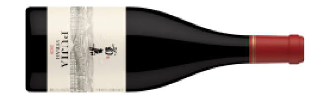 Pujia, Reserve Syrah, Helan Mountain East, Ningxia, China 2020